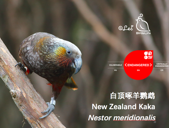 1497964015544261.png 图片.png