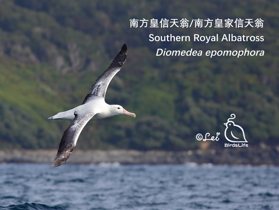 1497964134426729.png 图片.png