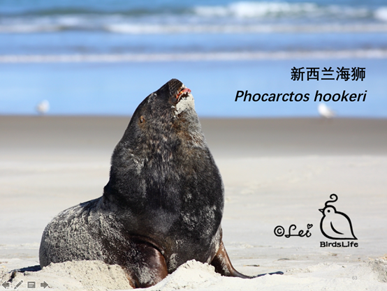 1497964318900658.png 图片.png