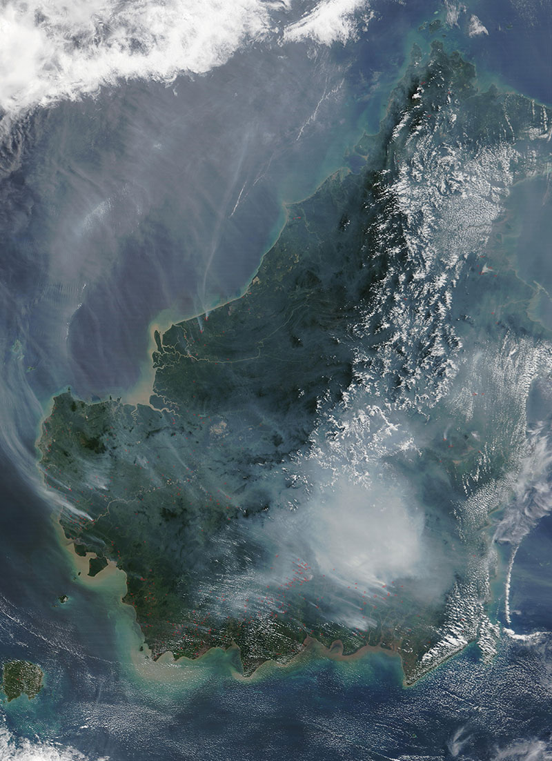 婆罗洲卫星图.jpg