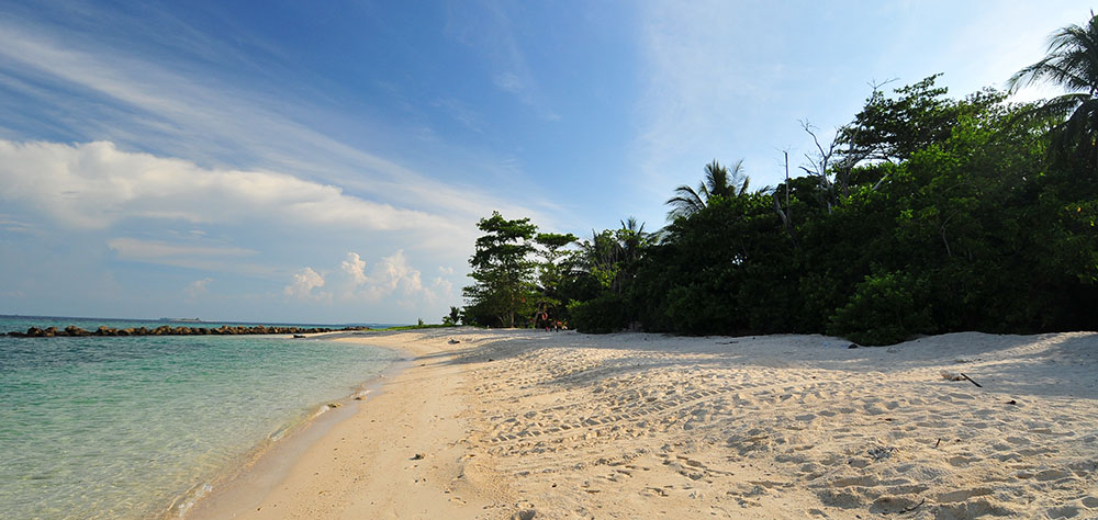 Selingan's island.jpg