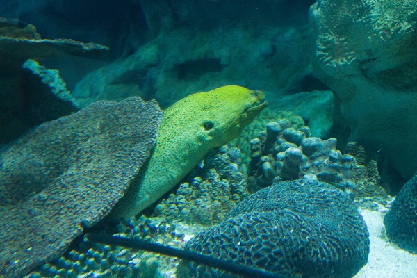 IMG_1245.jpg