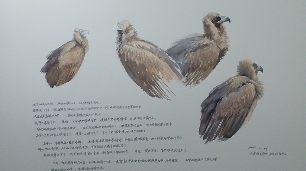 微信图片_20190226224158.jpg