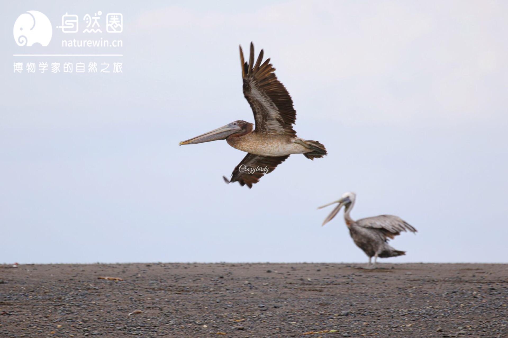 微信图片_2019101219541149.jpg
