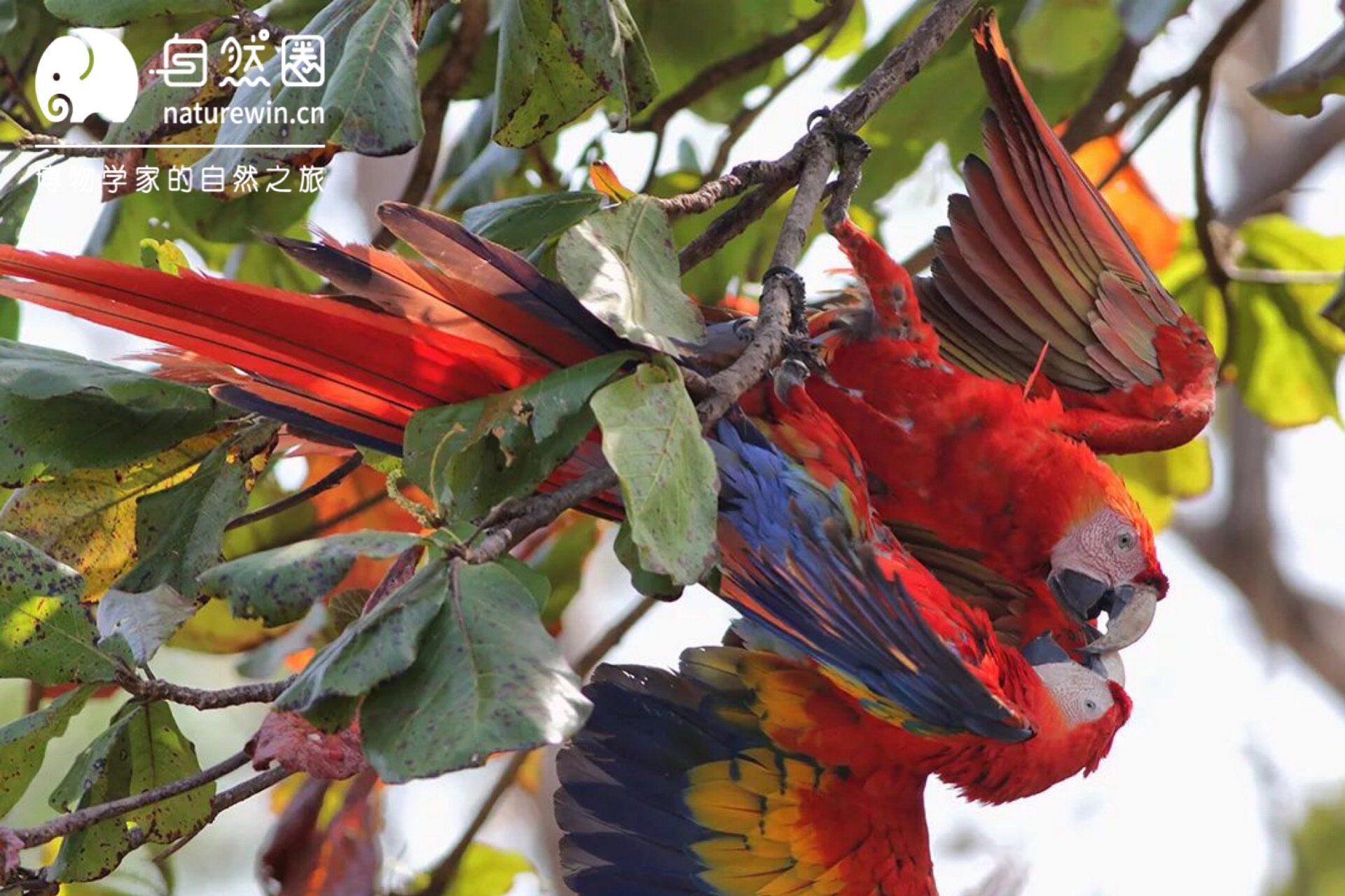 微信图片_2019101219541129.jpg