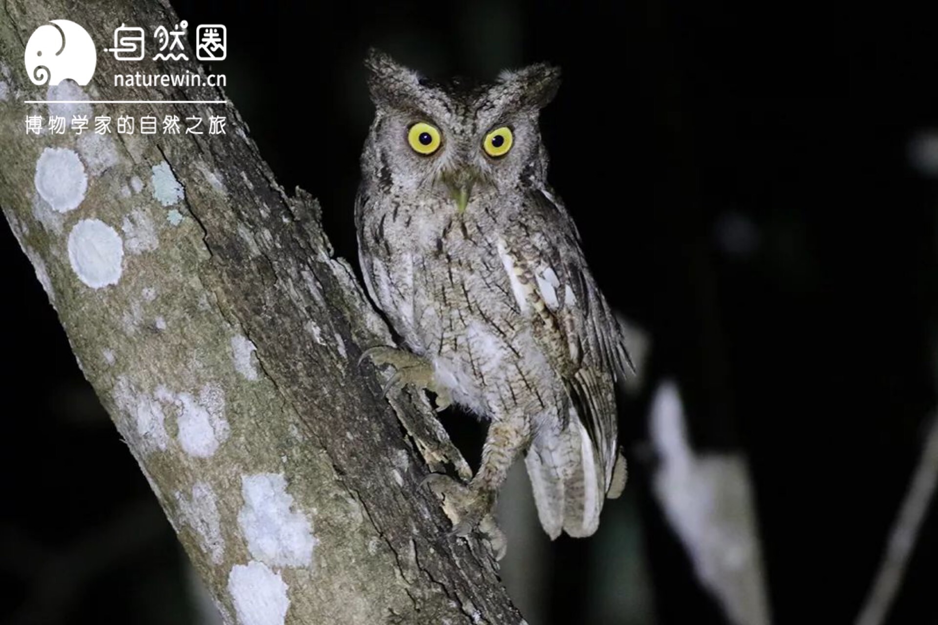 微信图片_2019101219541118.jpg