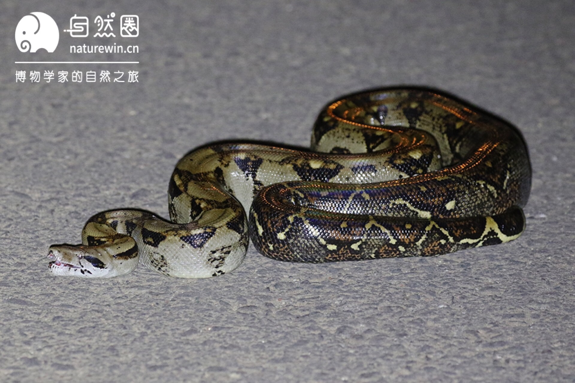 微信图片_2019101219541120.jpg
