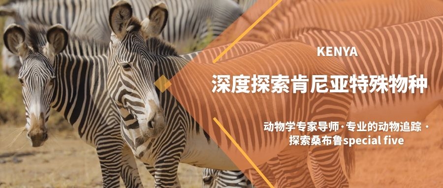 图怪兽_e9703ac51d654f45c3b05333cb1d6264_48254.jpg