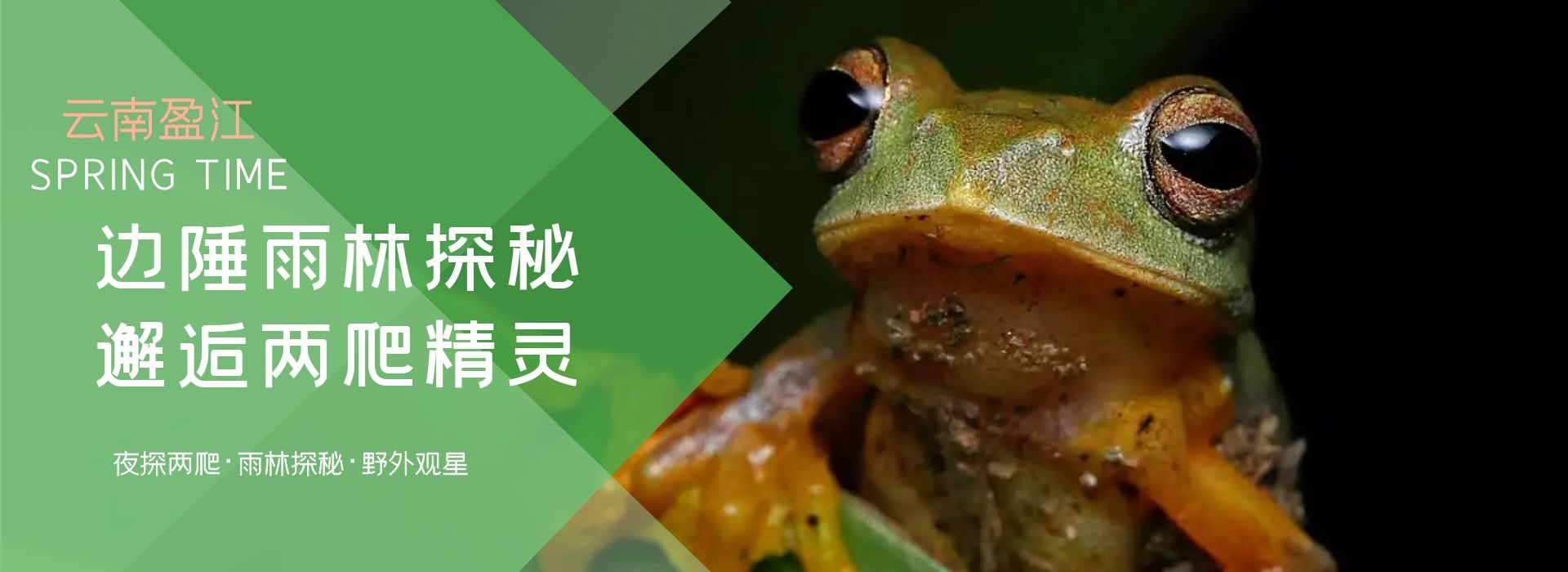 图怪兽_be513052ec6bcfc369abc2a085e3d6d0_53424.jpg