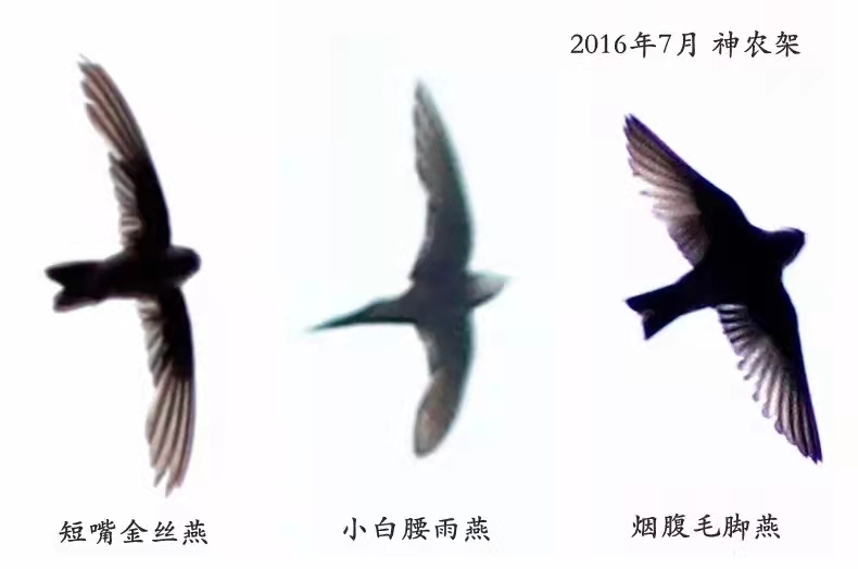 微信图片_20220322143443.jpg